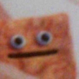 Meet your Posher, Sean